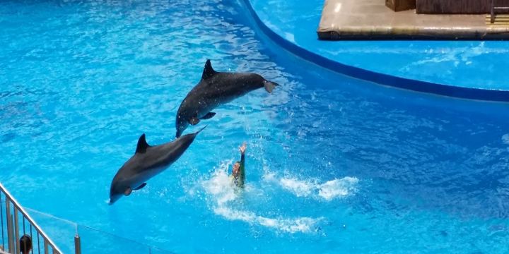 Wenzhou Aquarium
