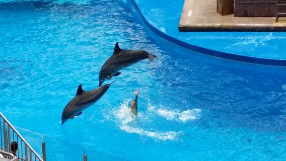 Wenzhou Aquarium