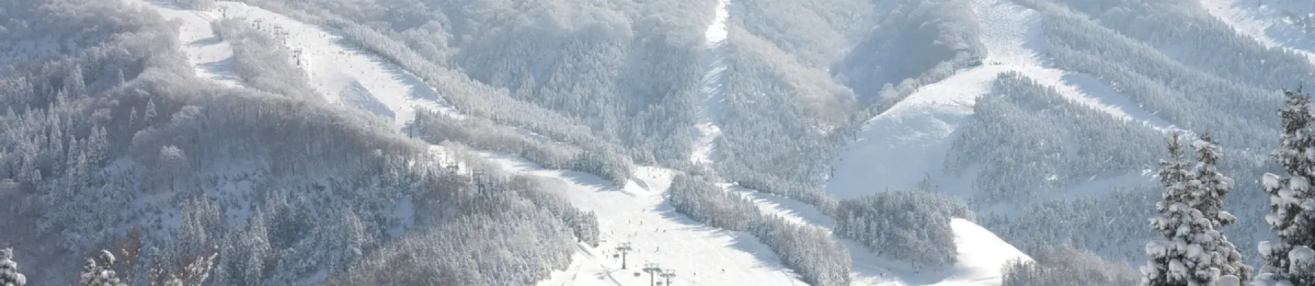 Ski Resorts