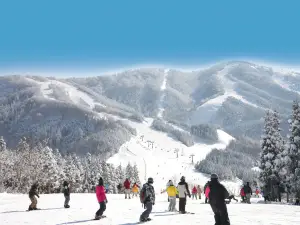 福井縣的熱門滑雪好去處