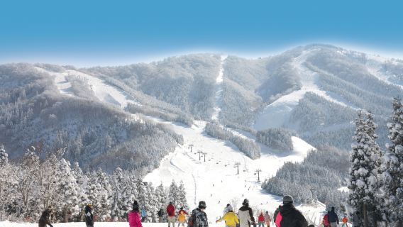 Ski Jam Katsuyama