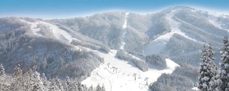 JAM福井勝山マウンテンリゾート