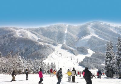 Ski Jam Katsuyama