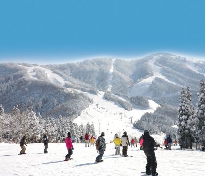 Ski Jam Katsuyama