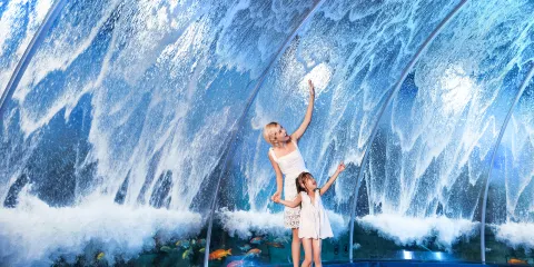 正佳極地海洋世界全天票成人