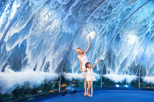 Hotels near Grandview Aquarium