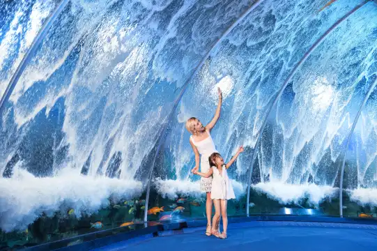 Hotels near Grandview Aquarium