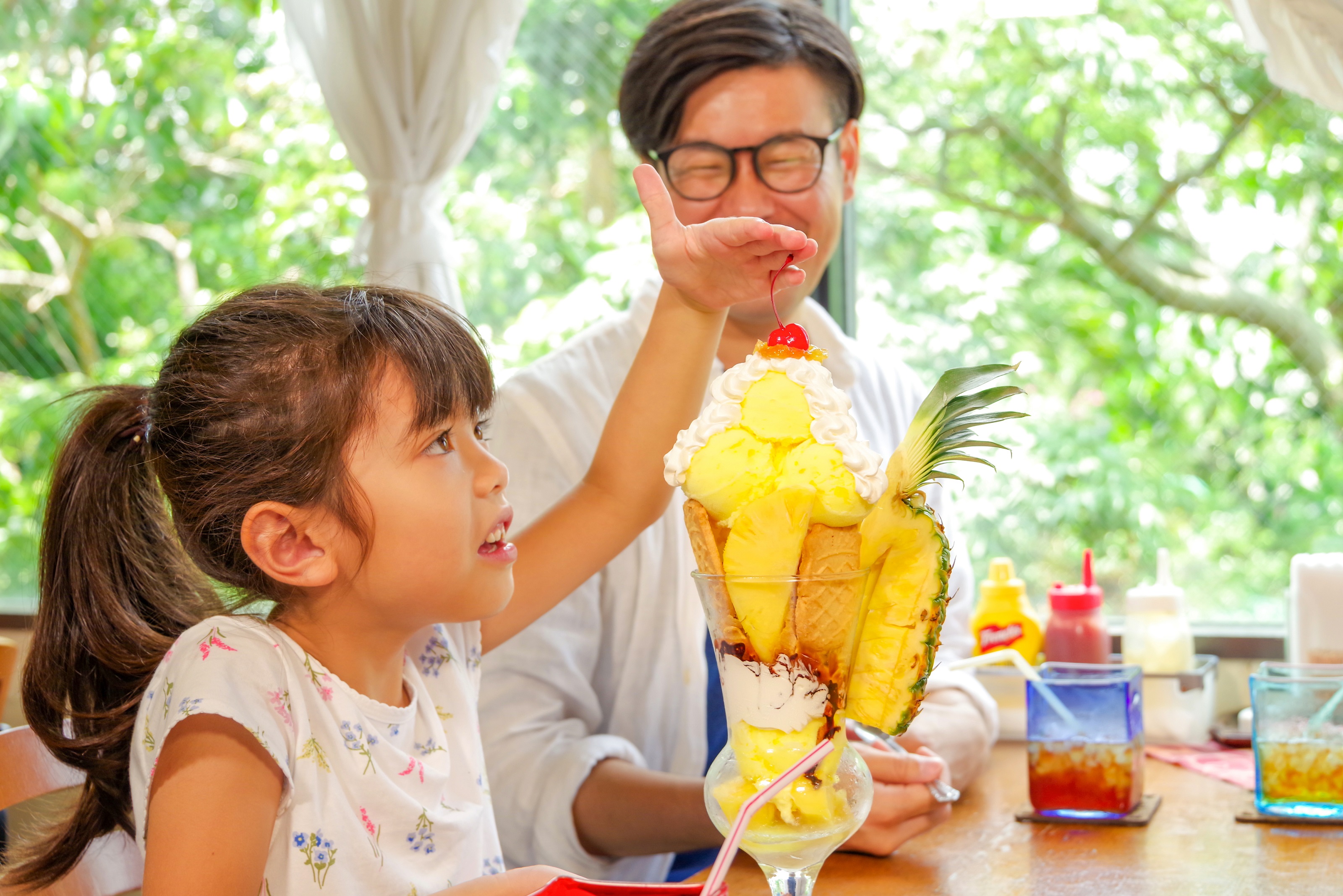 Okinawa Nago Pineapple Park Admission E-Ticket