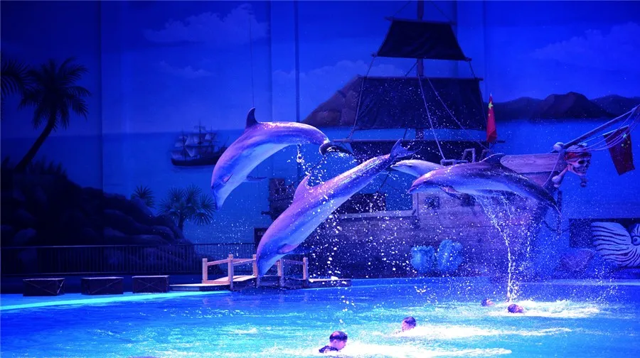 3_Xi An Huaxia Cultural Travel Ocean Park