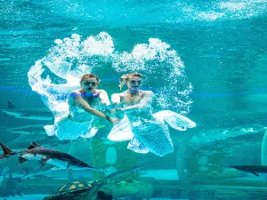 The Under Water World of Mekong River