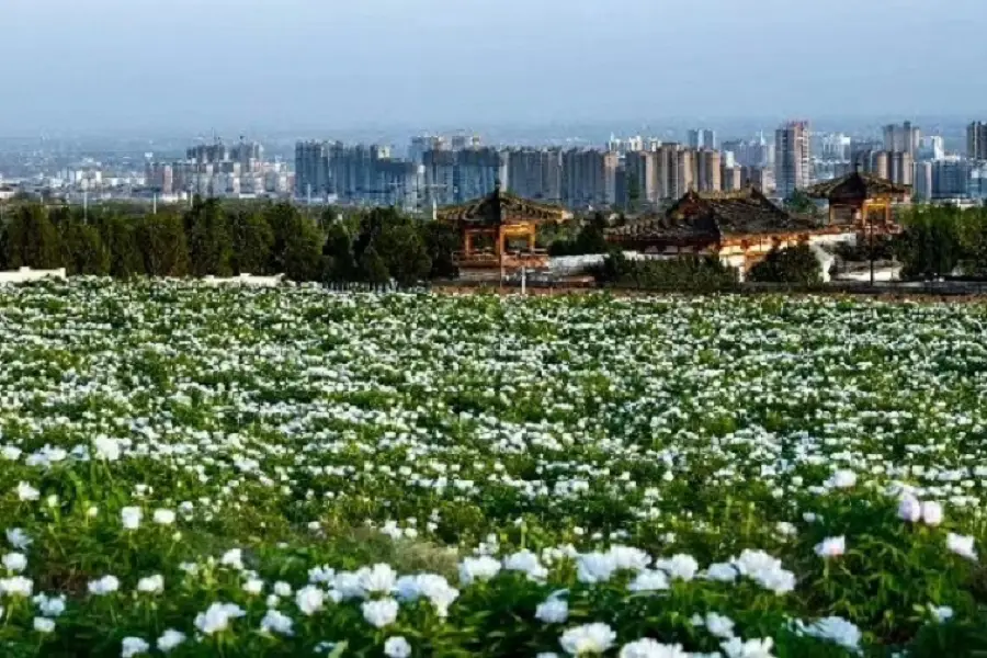 Ganling Datang Peony Garden