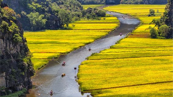 Truong YenTours