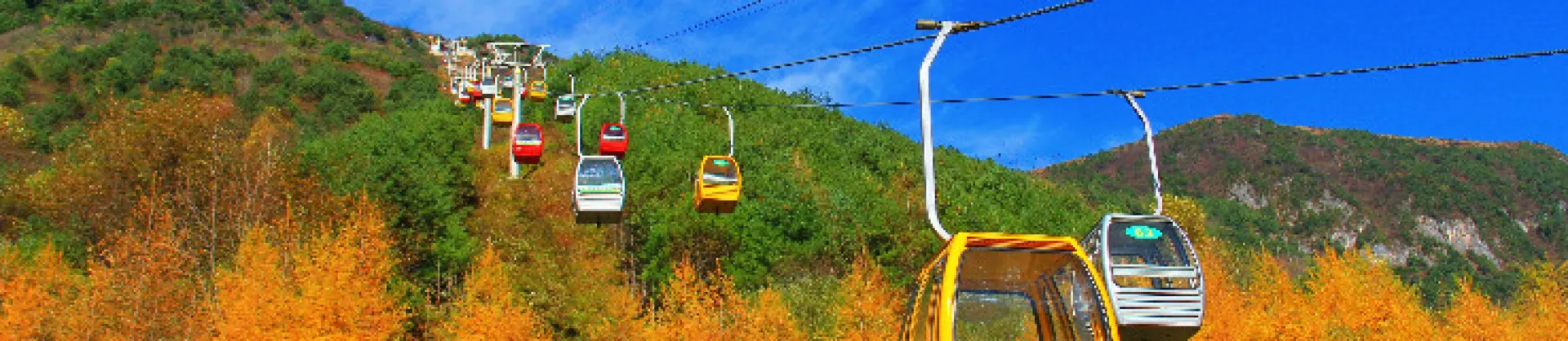 Fall Viewing Attractions