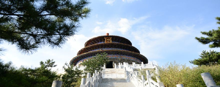 위츠구