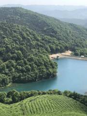 東銭湖福泉山景観地