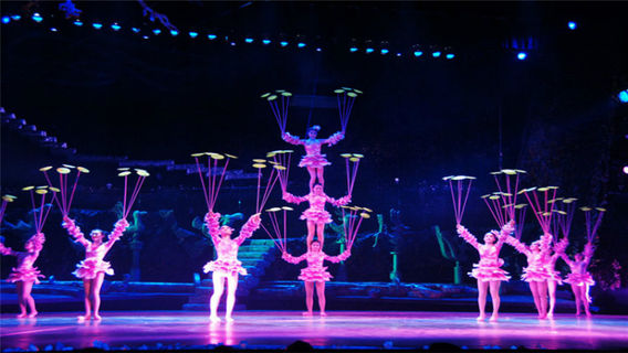 Chaoyang Theatre Acrobatic Show