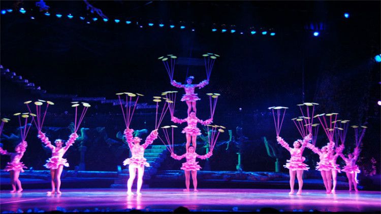 Chaoyang Theater Acrobatic Show