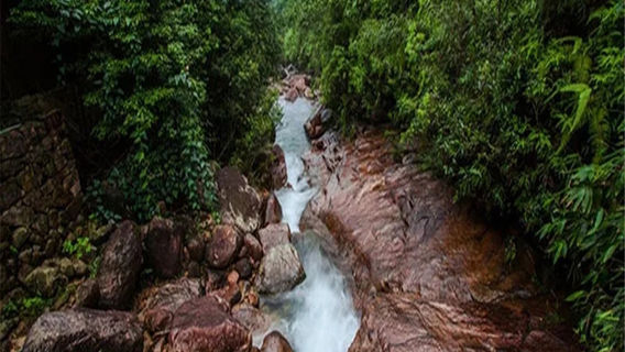 Longjing Mountain