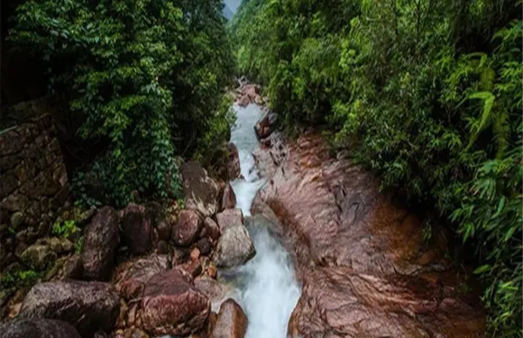 龍井山彩虹橋票大小同價