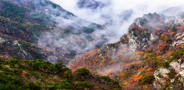 Fall Foliage Sightseeing in Huanggang