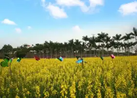 Wing Kee Farm Park