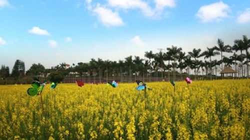 Wing Kee Farm Park