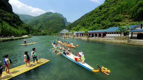 Three Gorges Bamboo Sea