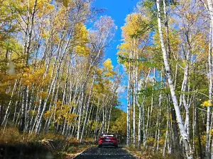 阿爾山白狼峰景區