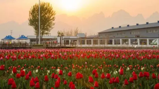 Grand Flower Sea, Langya Mountain