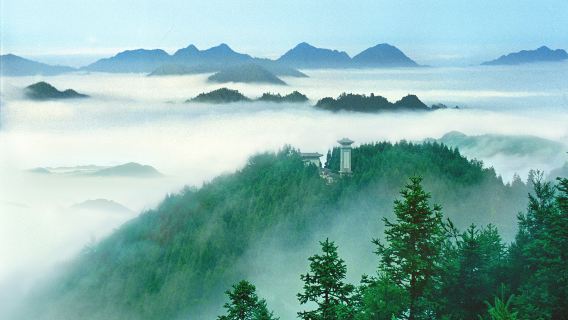 2人起獨立包團井岡山黃洋界五龍潭一日遊吉安宜春上門接送