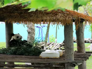 신조산 야생동물원