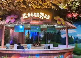 Motianlun Huanlecheng Conglin Amusement Park