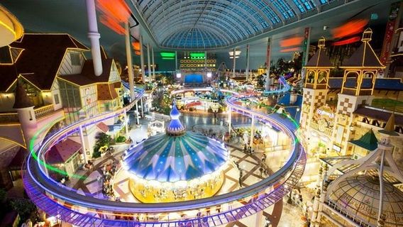 Full-day Private Lotte Tower, Aquarium and Lotte world Theme park Tour