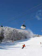 富士見麗景度假村滑雪場