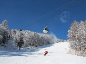 富士見麗景度假村滑雪場