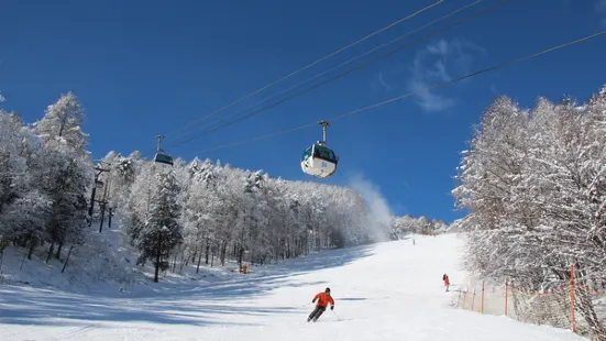 富士見麗景度假村滑雪場