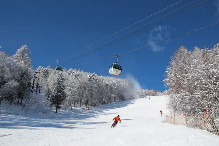 Fujimi Panorama Resort