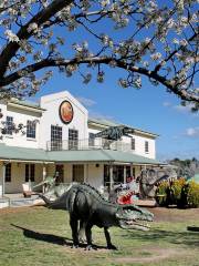 Museo Nacional del Dinosaurio