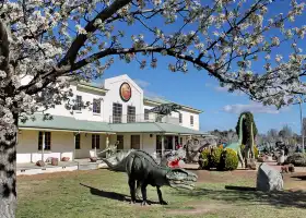 National Dinosaur Museum
