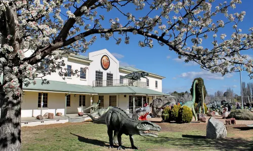 National Dinosaur Museum
