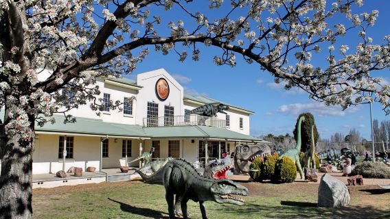 National Dinosaur Museum