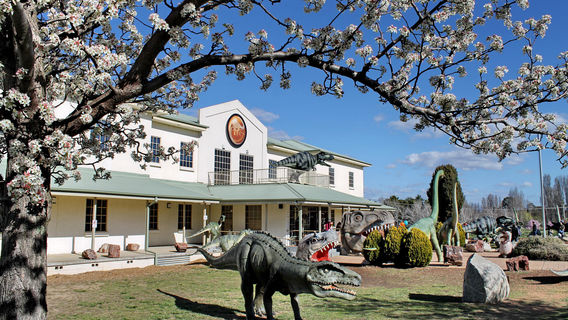 National Dinosaur Museum