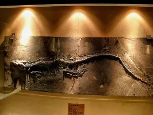 Guizhou Guanling Orictocoenosis National Geopark