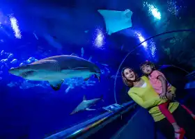 吉隆坡城中城水族館