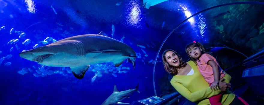 Aquaria KLCC