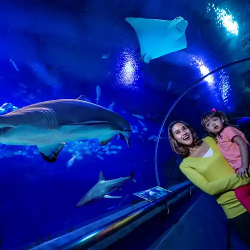 Top 10 Family-friendly Attractions in Kuala Lumpur