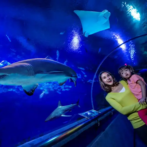 Aquaria KLCC