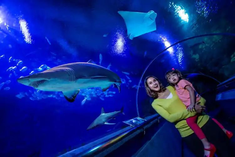Các khách sạn gần Aquaria KLCC