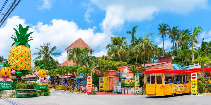 Nago Pineapple Park