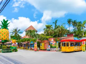Top 4 Best Things to Do in Nago